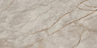 Атлас Конкорд ЭМПАИР СИЛЬВЕР РУТ Лап / Atlas Concorde Empire Silver Root Lap 60x120