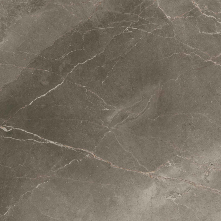 Атлас Конкорд АЛЛЮР ГРЕЙ БЬЮТИ / Atlas Concorde Allure Grey Beauty 80x80