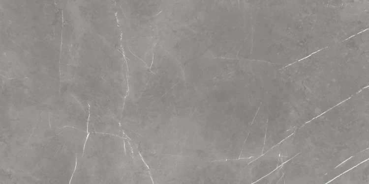 Атлас Конкорд Ф.Д.М. ЭЛЕГАНТ ГРЕЙ Сат / Atlas Concorde F.D.M. ELEGANT GREY Cer 60x120